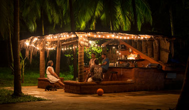 Olaulim Backyards pets