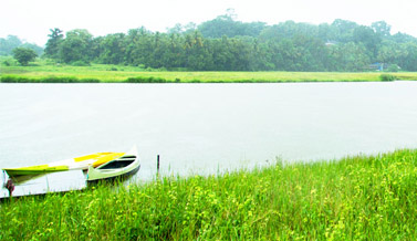 Olaulim Backyards Media