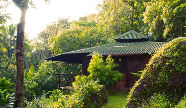 Olaulim Backyards Services