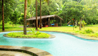 Olaulim Backyards Gallery