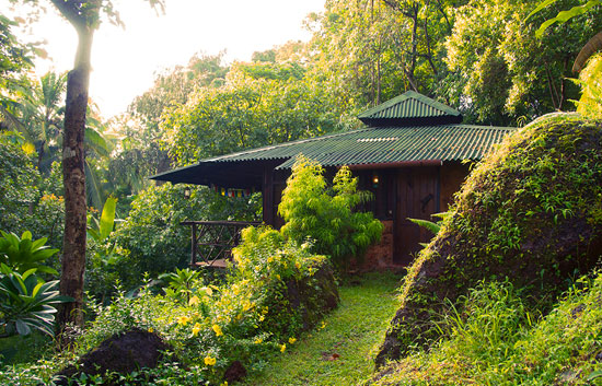 Olaulim Backyards Sunbird